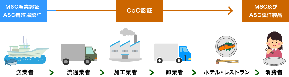 MSC/ASC CoC認証とは